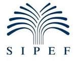 Sipef: te goed?